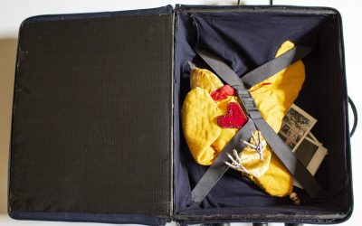 I brought the dream of flying…