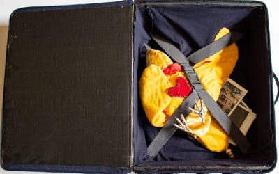 I brought the dream of flying…