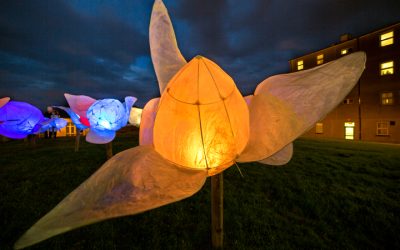 Well Festival of Arts & Wellbeing