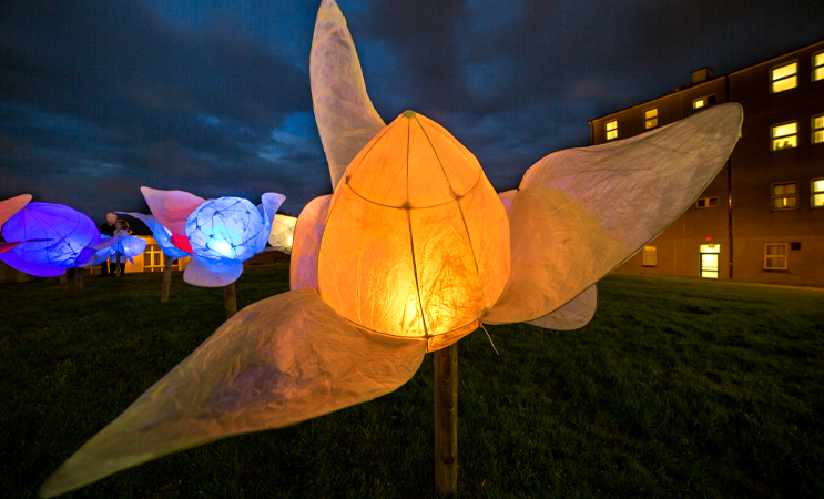 Well Festival of Arts & Wellbeing